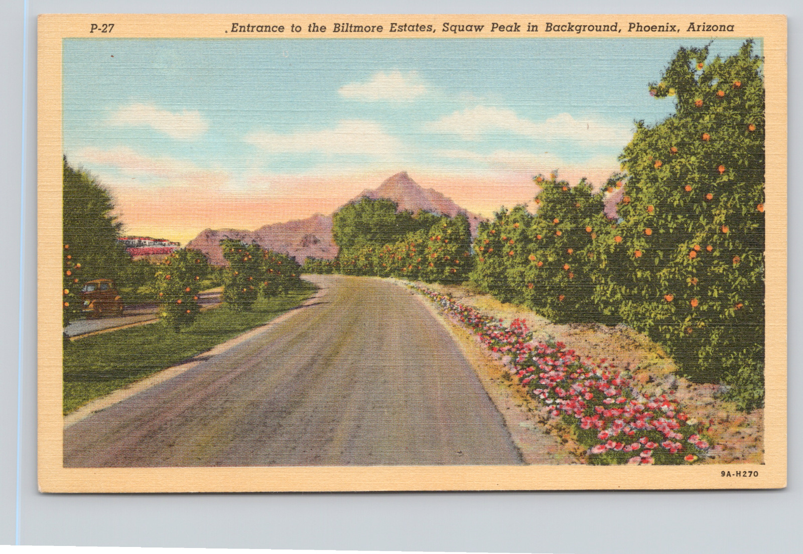 Postcard Entrance To The Biltmore Estates, Squaw Peak In Background A36