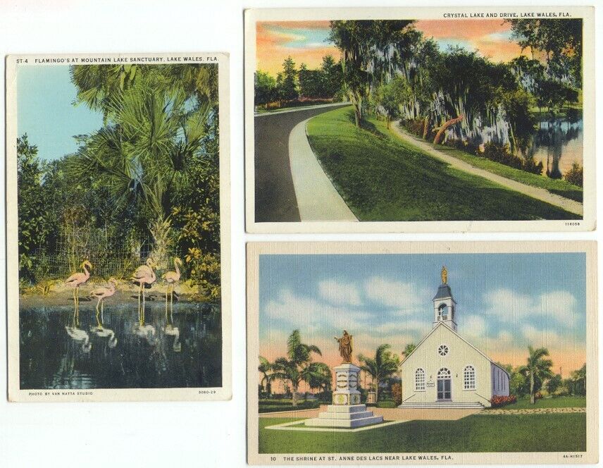 Lake Wales FL Lot of 3 Old Postcards Florida