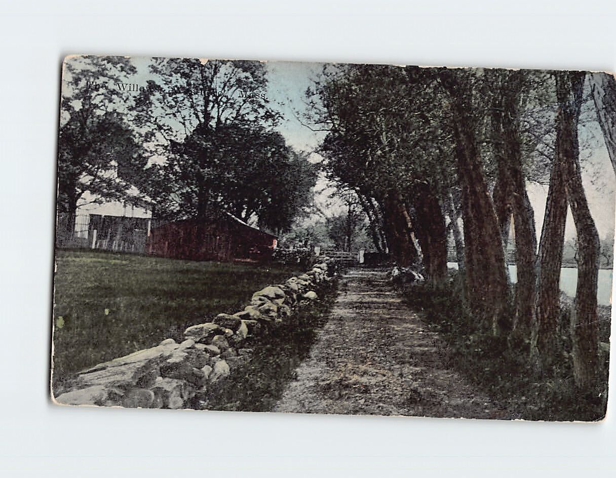 Postcard The Willows, Massachusetts