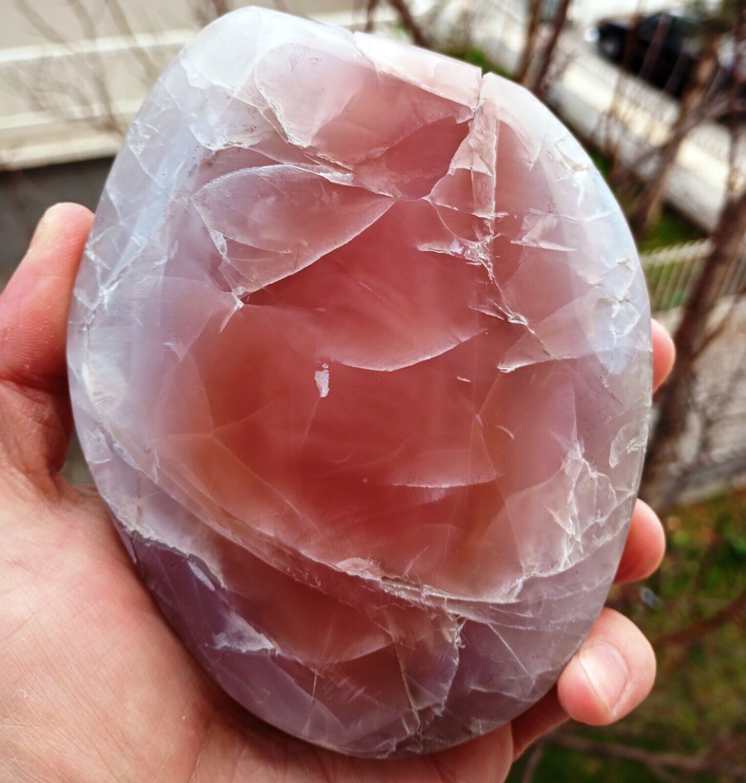 Gorgeous Rare Color Mirror Polished Pink Chalcedony