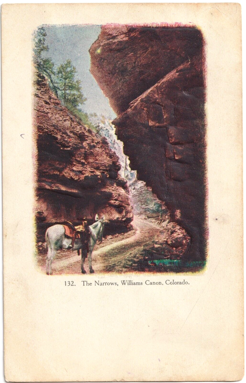 The Narrows-Williams Canon (Canyon), Colorado CO-c.1900s embossed antique