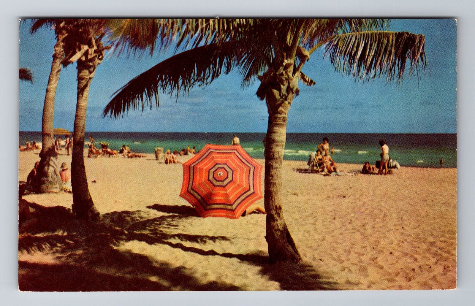 Miami Beach FL-Florida, Tropical Palms on Beach, Antique Vintage Postcard