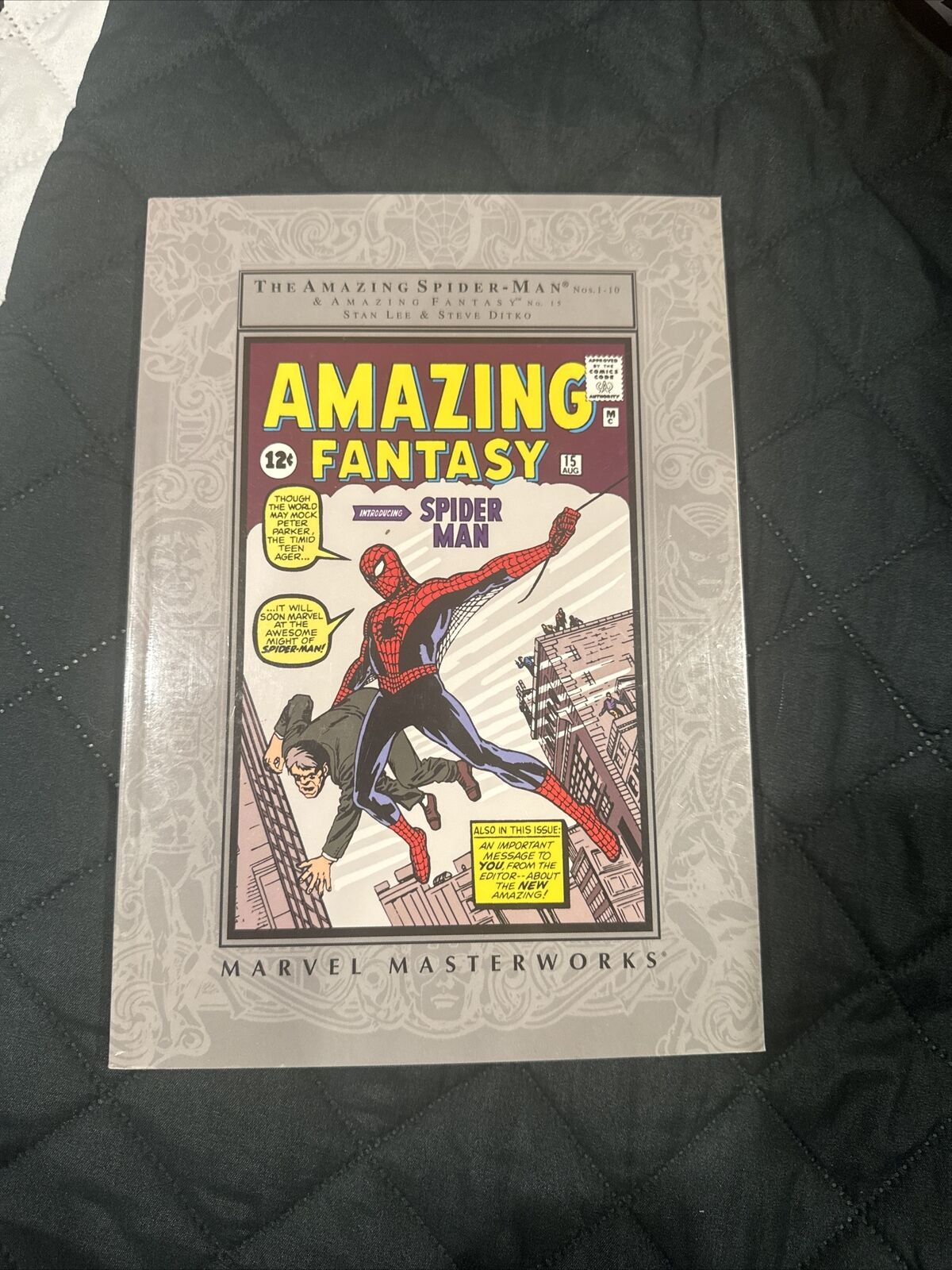 Marvel Masterworks: The Amazing Spider-Man Vol 1 Stan Lee Steve Ditko tpb SC