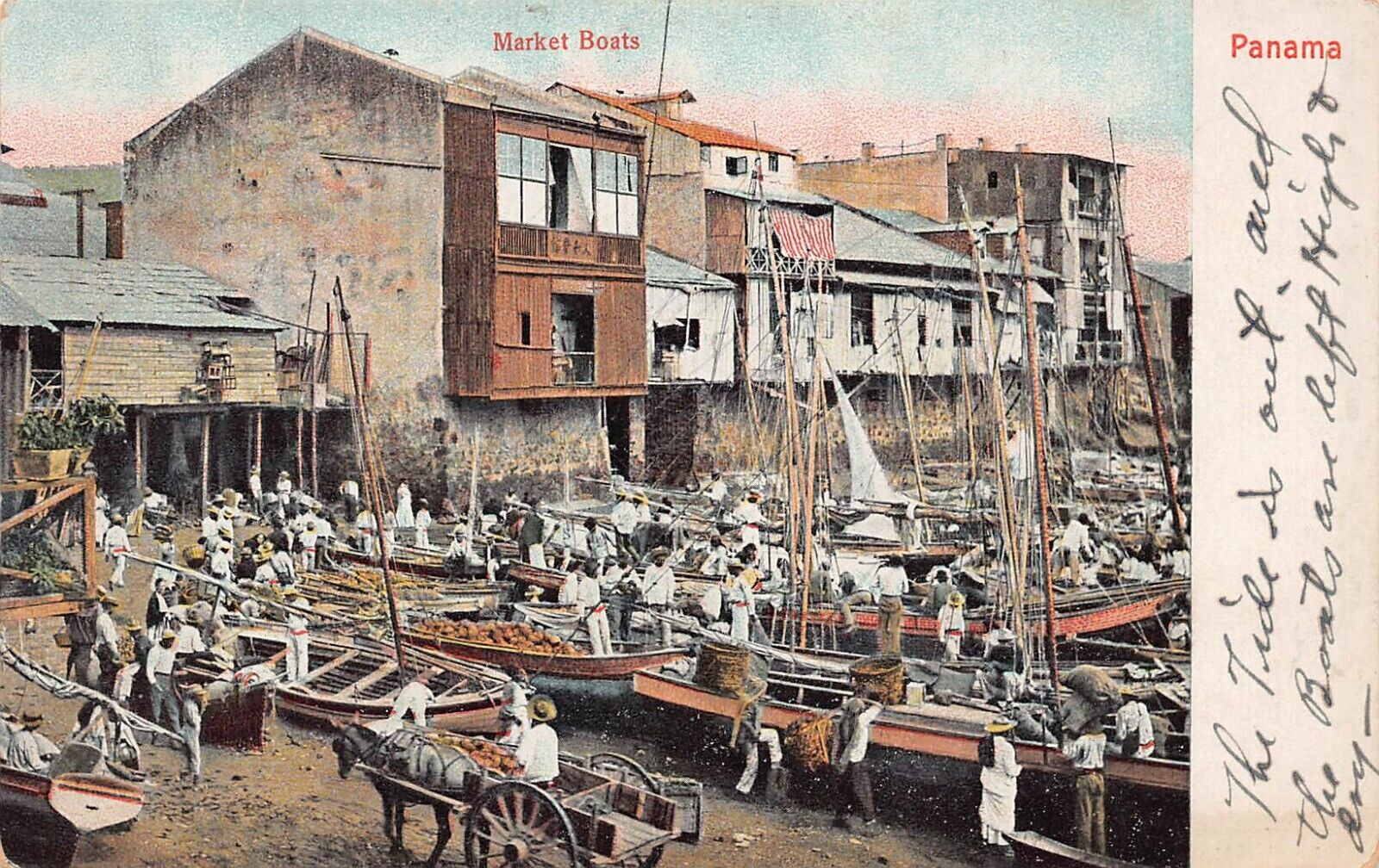 Panama City Bay Golf Harbor Fish Market Boat Coconut Early 1900s Vtg Postcard A8