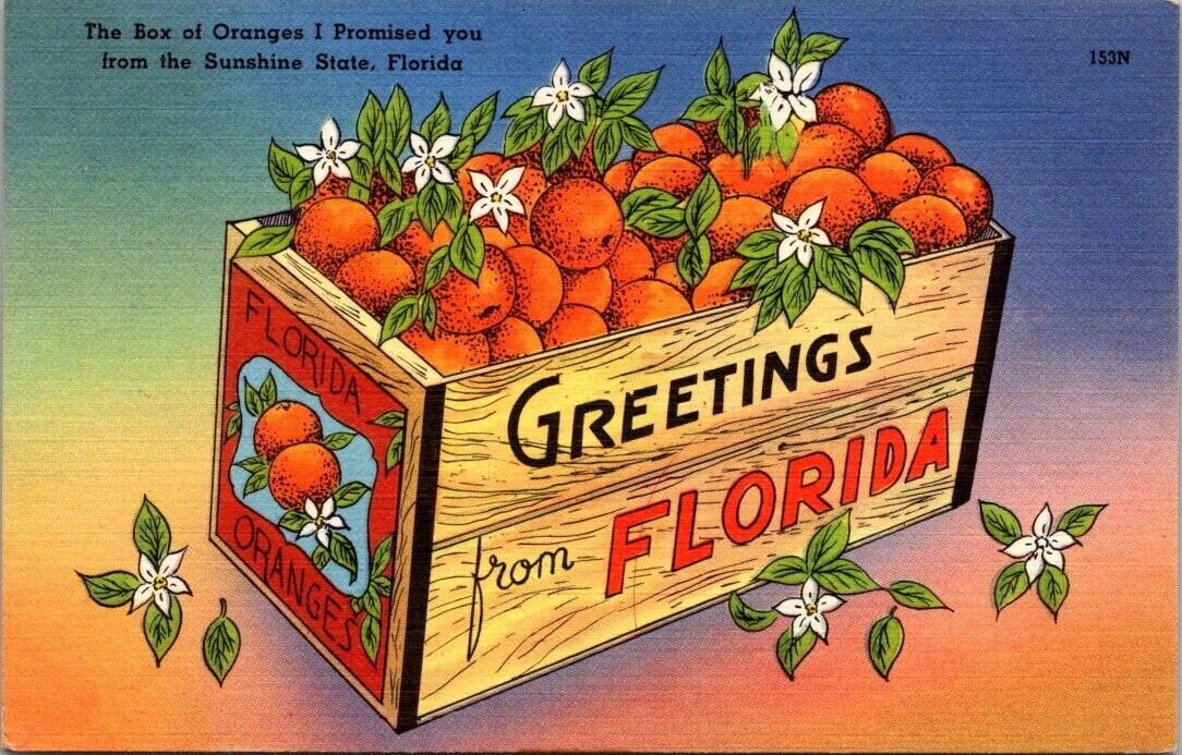 Postcard Florida Greetings From Florida Oranges Sunshine State Linen c1930s FL