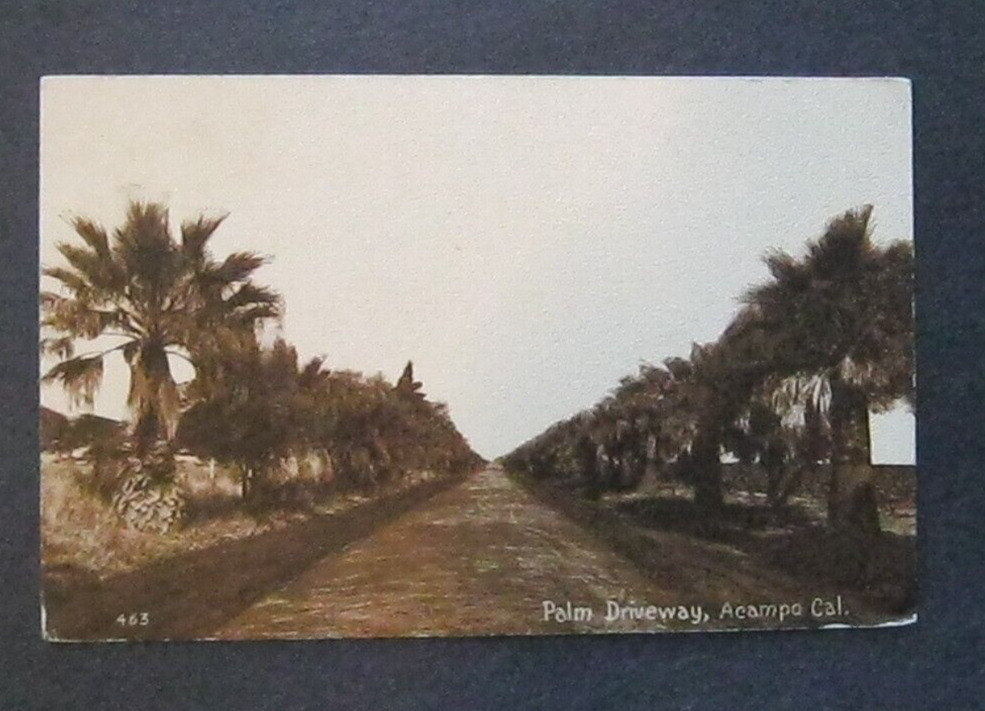Palm Driveway Acampo CA 1917 Edward H Mitchell  463