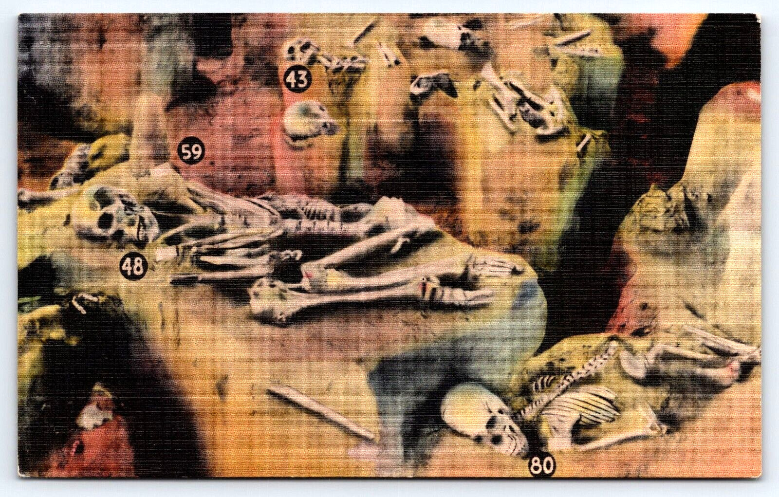 Postcard Salina Kansas Native American Indian Burial Prehistoric Burial Pit A19
