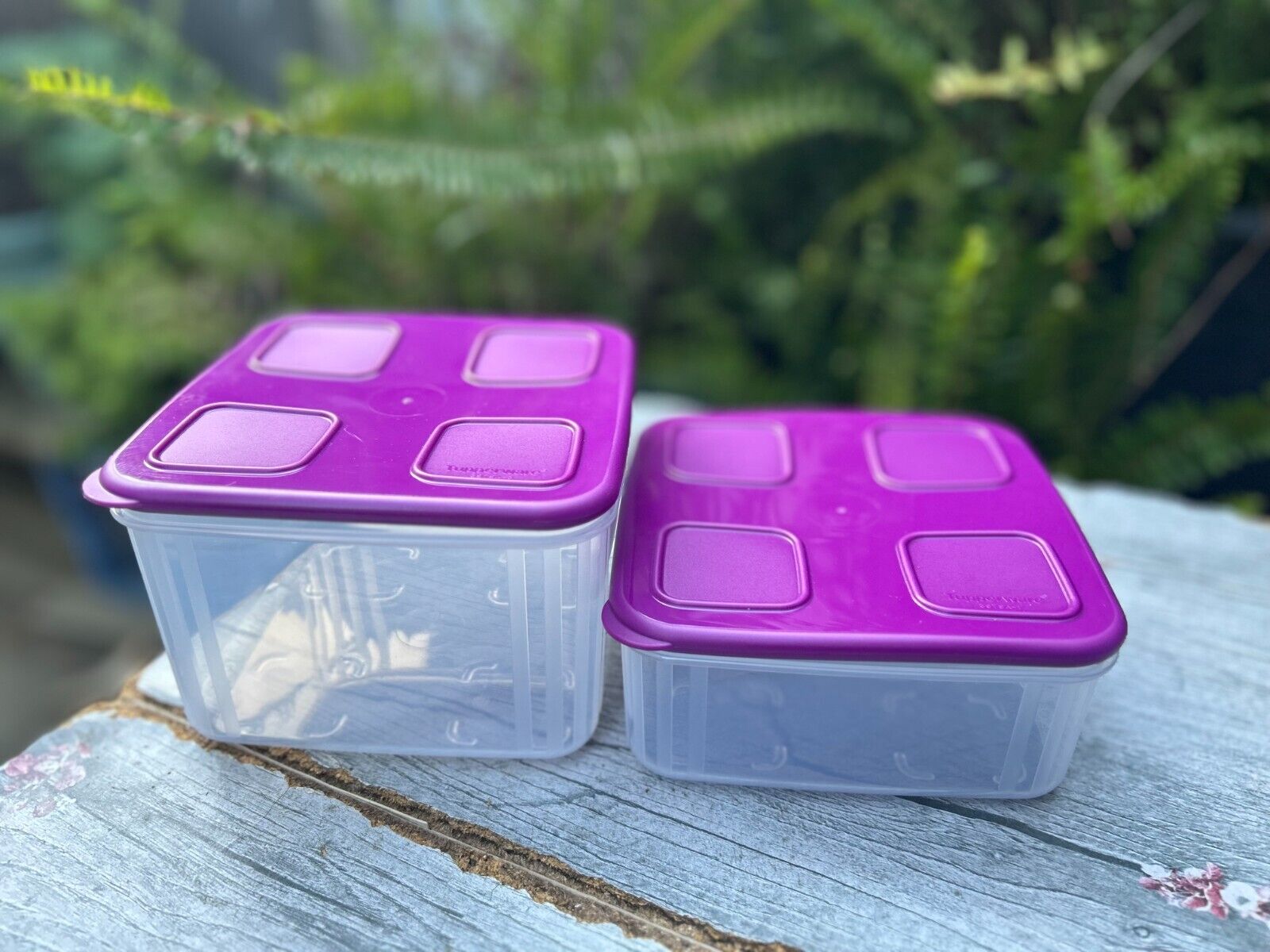 Tupperware Square Clear Mates Set of 2 in Clear with Purple 1.5L & 1L New Sale 