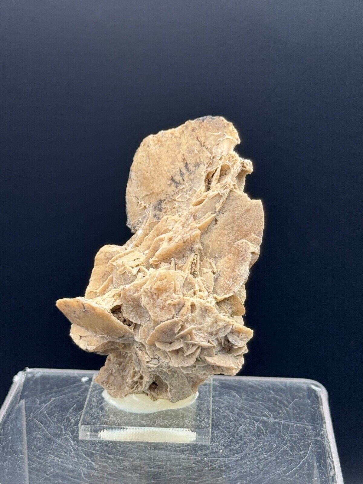 PSEUDOMORPHIC CALCITE FROM GYPSUM Valladolid SPAIN MINERALS COLLECTION 7x4x3cms