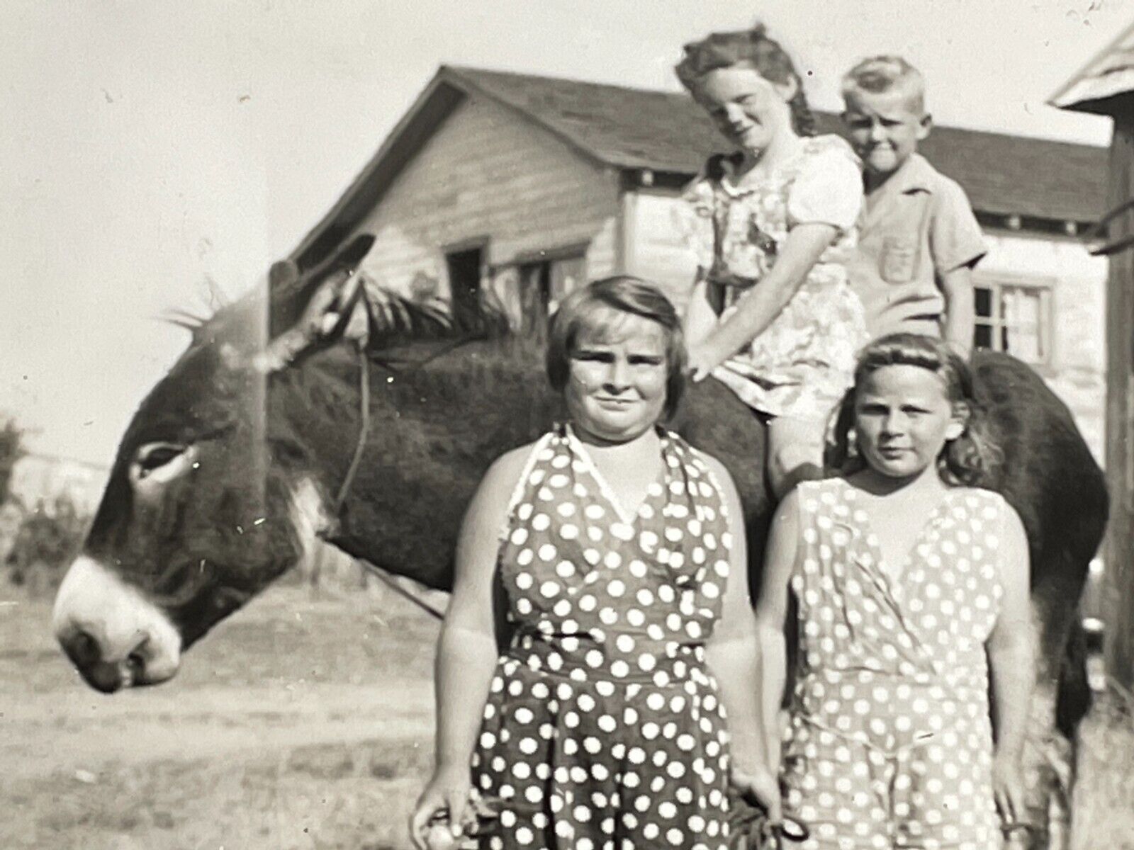 FA Photograph Kids Farm Barn Riding Donkey Mule 1930's