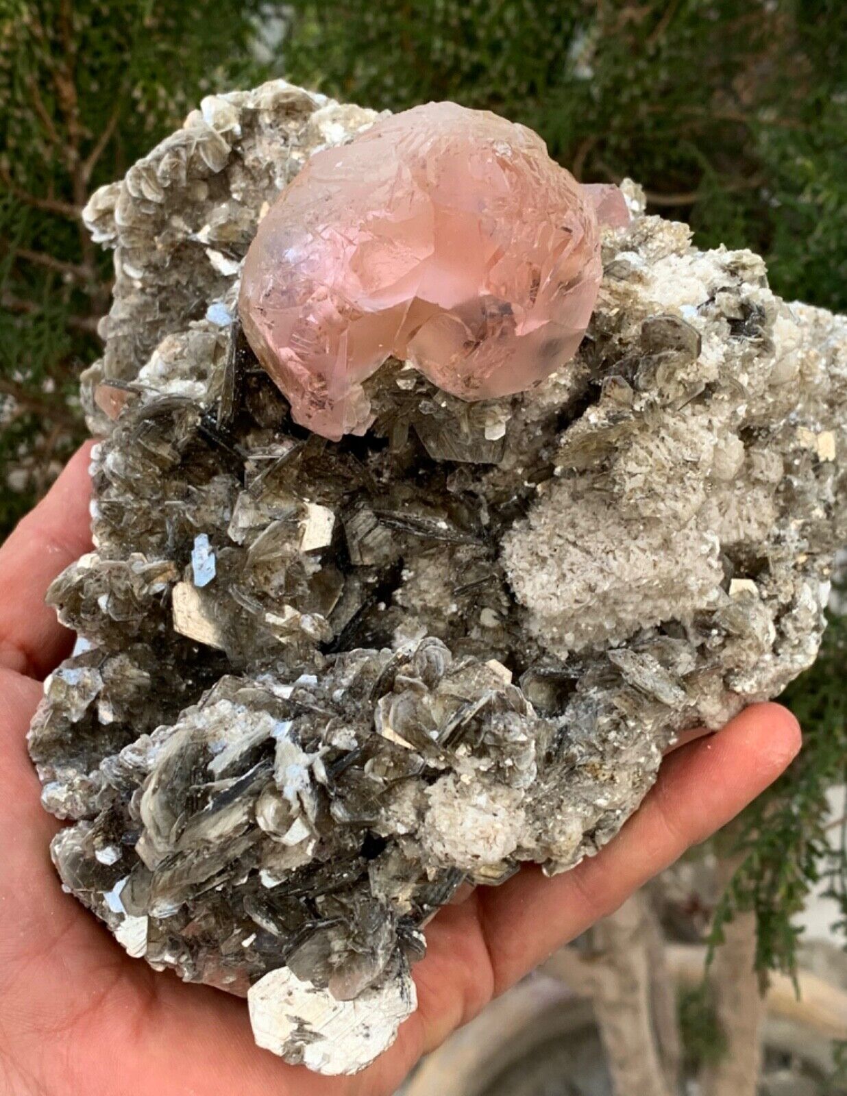 very unique gemmy large size pink fluorite crystal on Muscovite matrix @ pakist