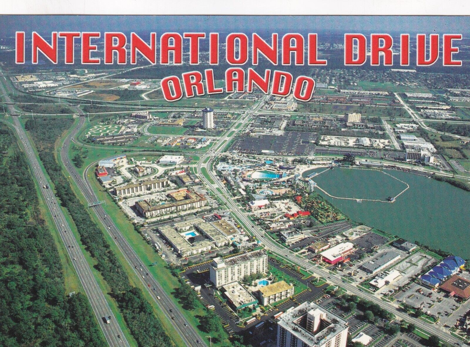 International Drive Orlando Florida Postcard 2000\'s Oversized 6.5\