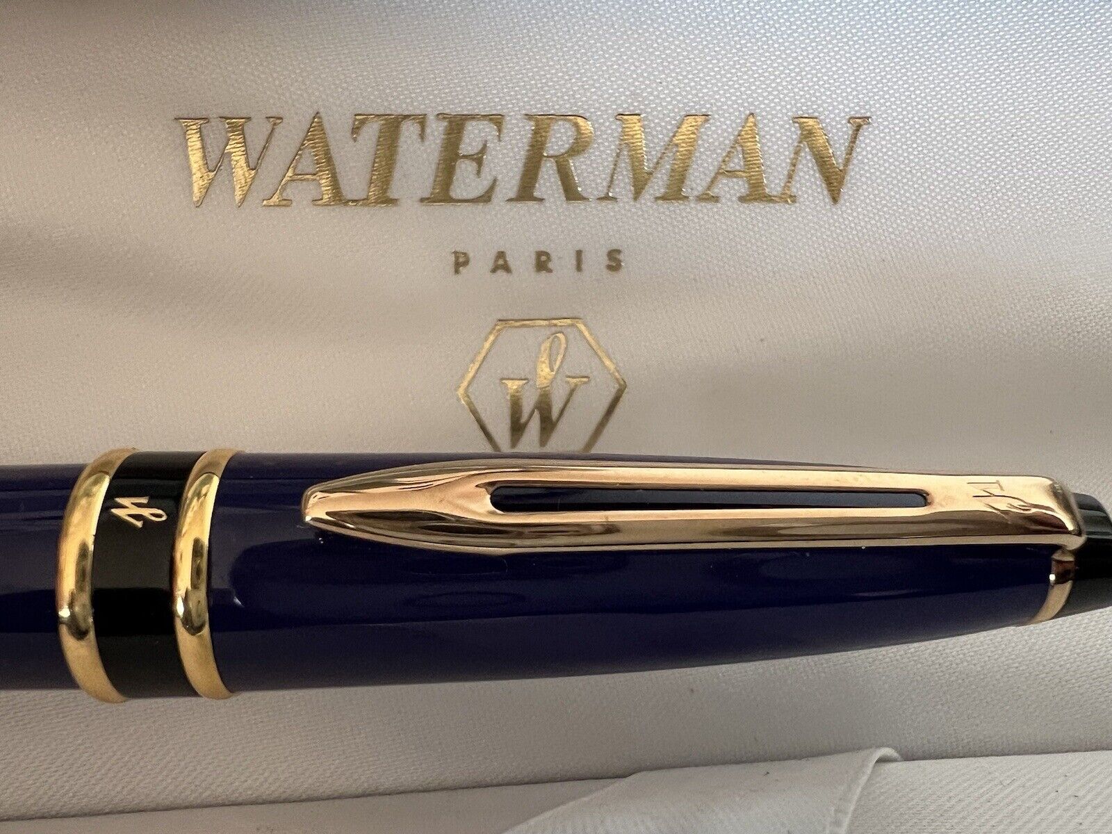 Waterman Pen Fountain Pen Expert Blue Pen Ef Shaped IN Cartridge