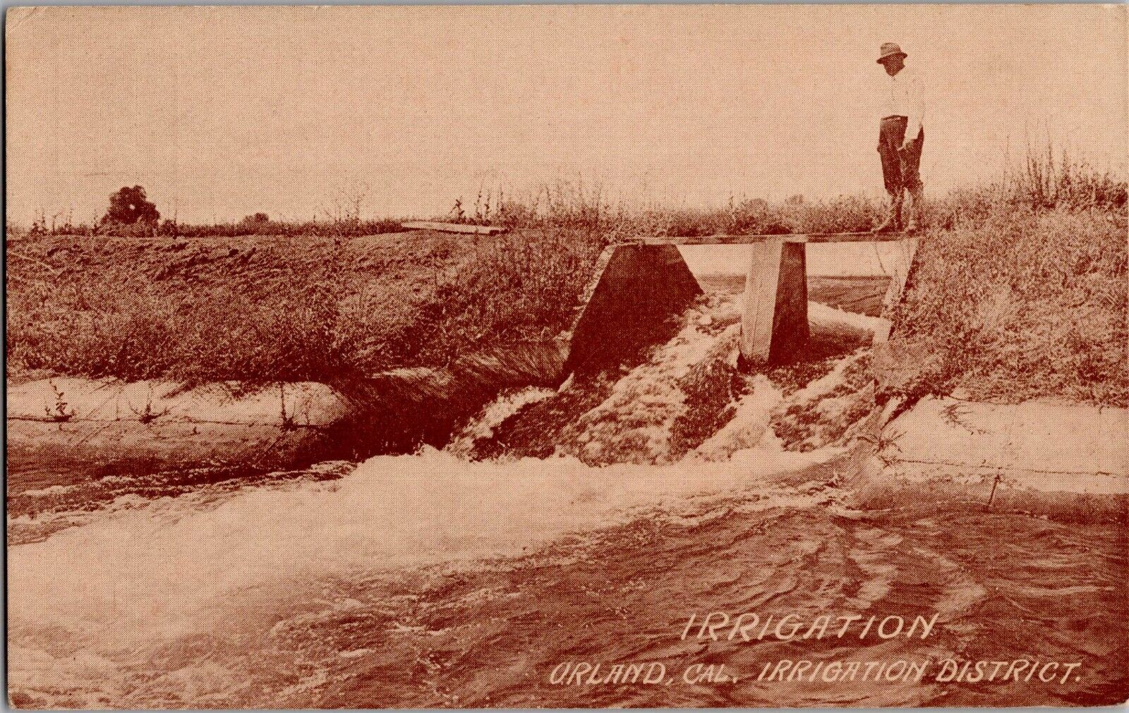Oakland, California Irrigation District Antique Postcard Government Irrigation
