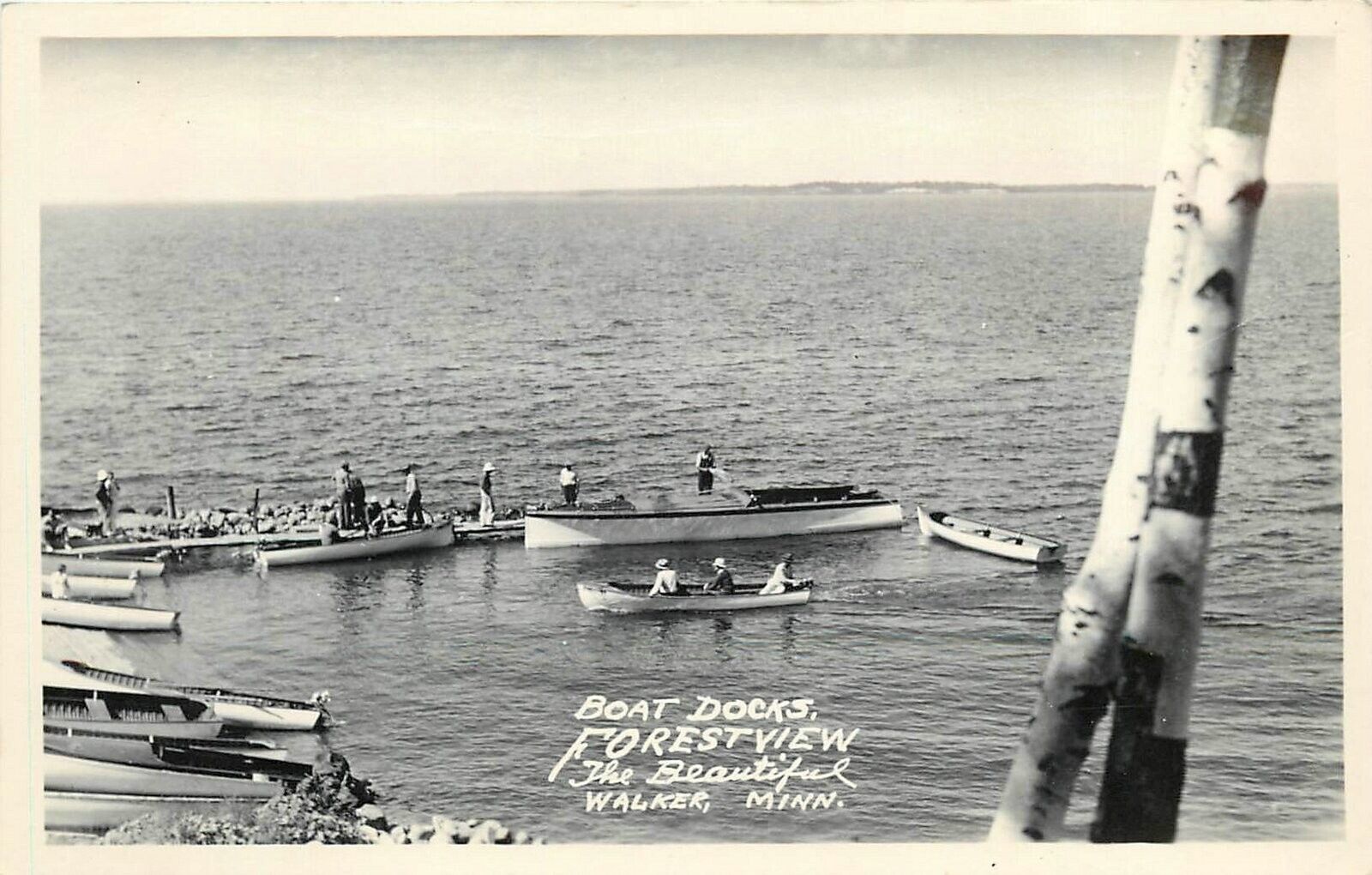 Postcard RPPC 1930s Minnesota Walker Boat Docks Forest View beautiful MN24-690