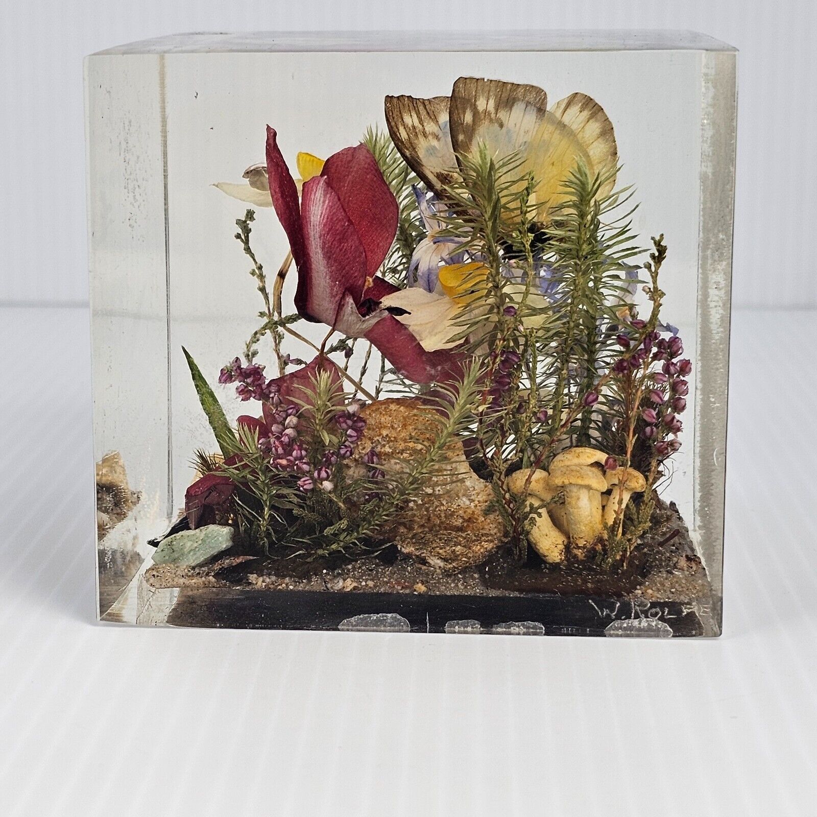 WILLIAM ROLFE Flowers  Butterfly Garden  in Acrylic Vintage  Paperweight 3 3/4\