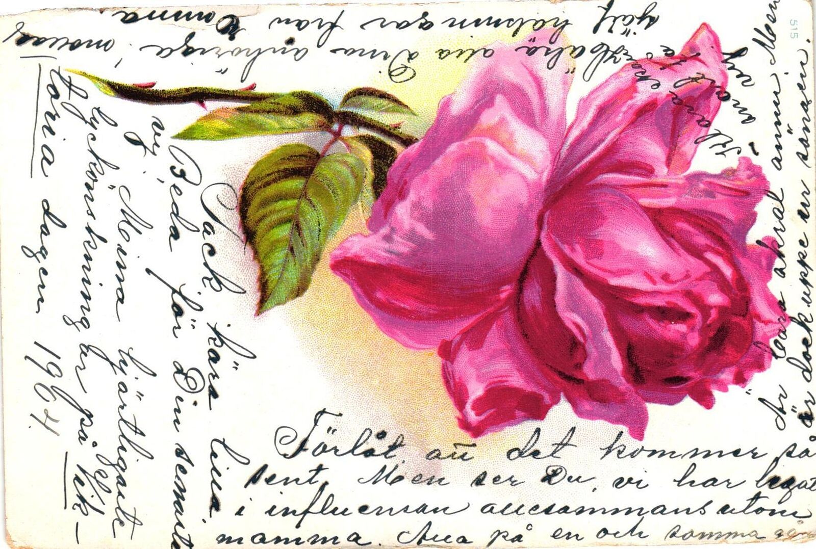Vintage Postcard- RED ROSE 1910 UnPost