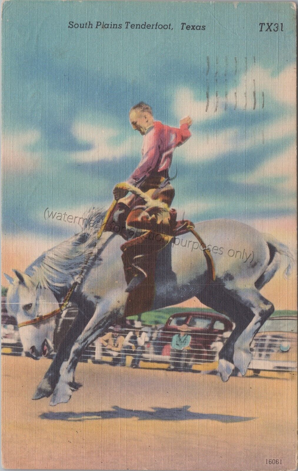 Lubbock, TX: 1953 Horse, South Plains Tenderfoot - Vintage Texas Linen Postcard