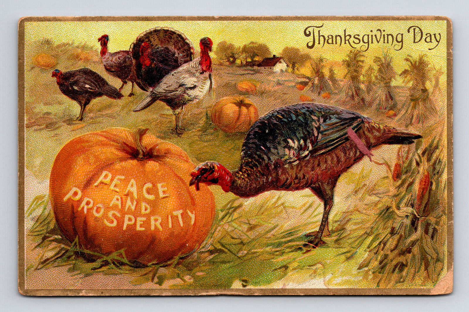 TUCKS Thanksgiving Day Farm Scene Turkey Corn Pumpkins Peace Prosperity Postcard