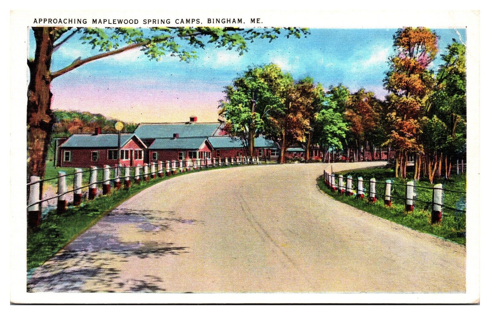 Vintage Approaching Maplewood Spring Camps, Bingham, ME Postcard