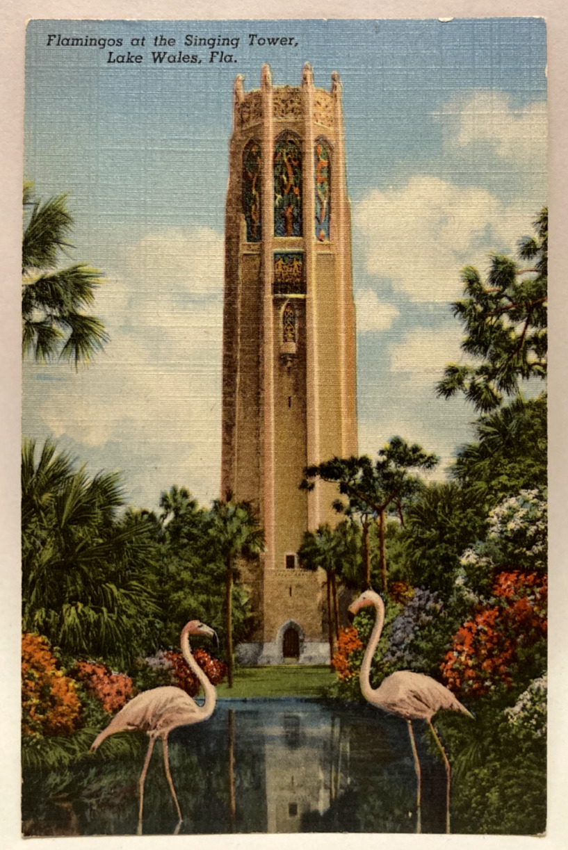 Flamingos at The Singing Tower, Lake Wales, Florida FL Vintage Postcard