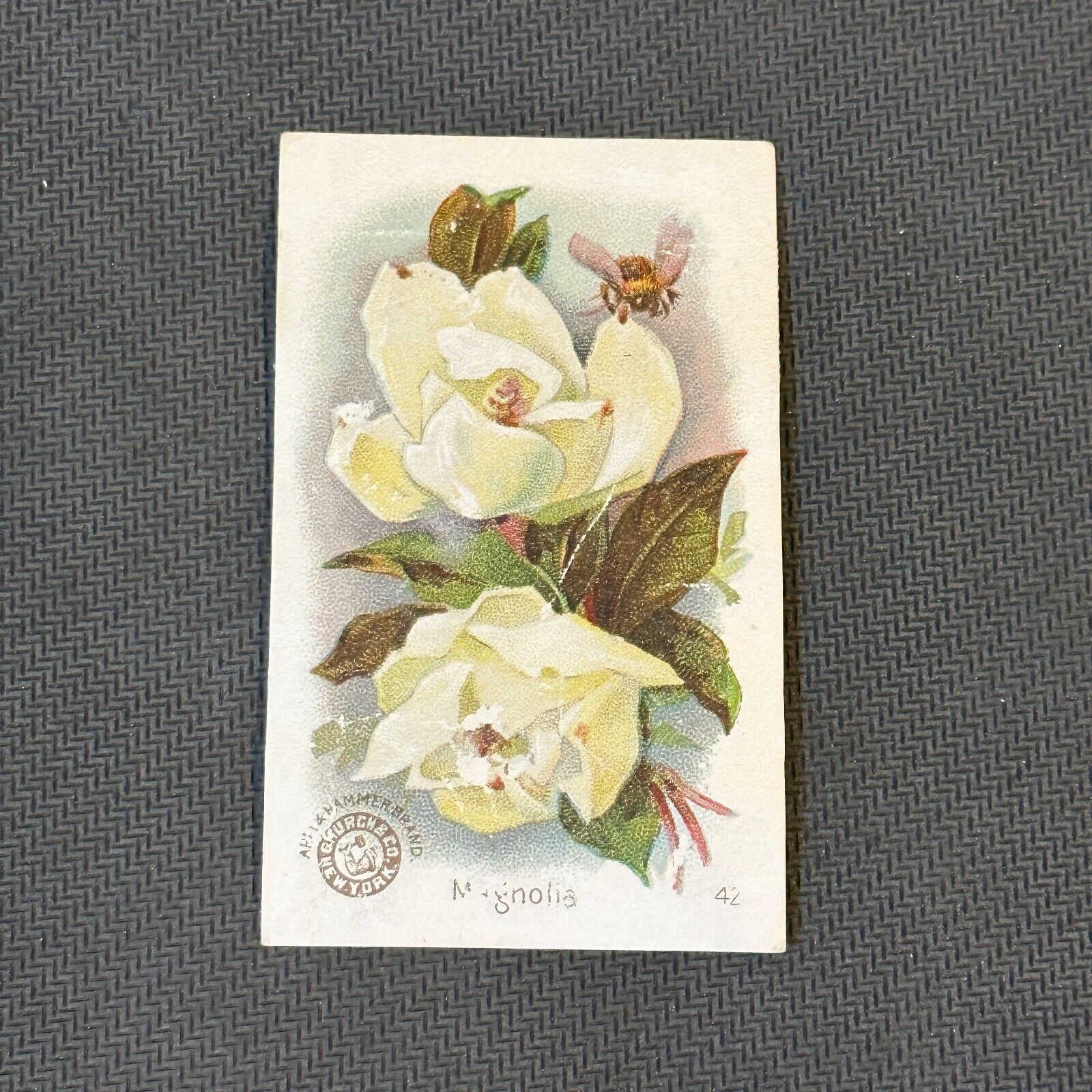 J16 1898 Arm and Hammer Beautiful Flowers Singles Baking Soda Card New Series