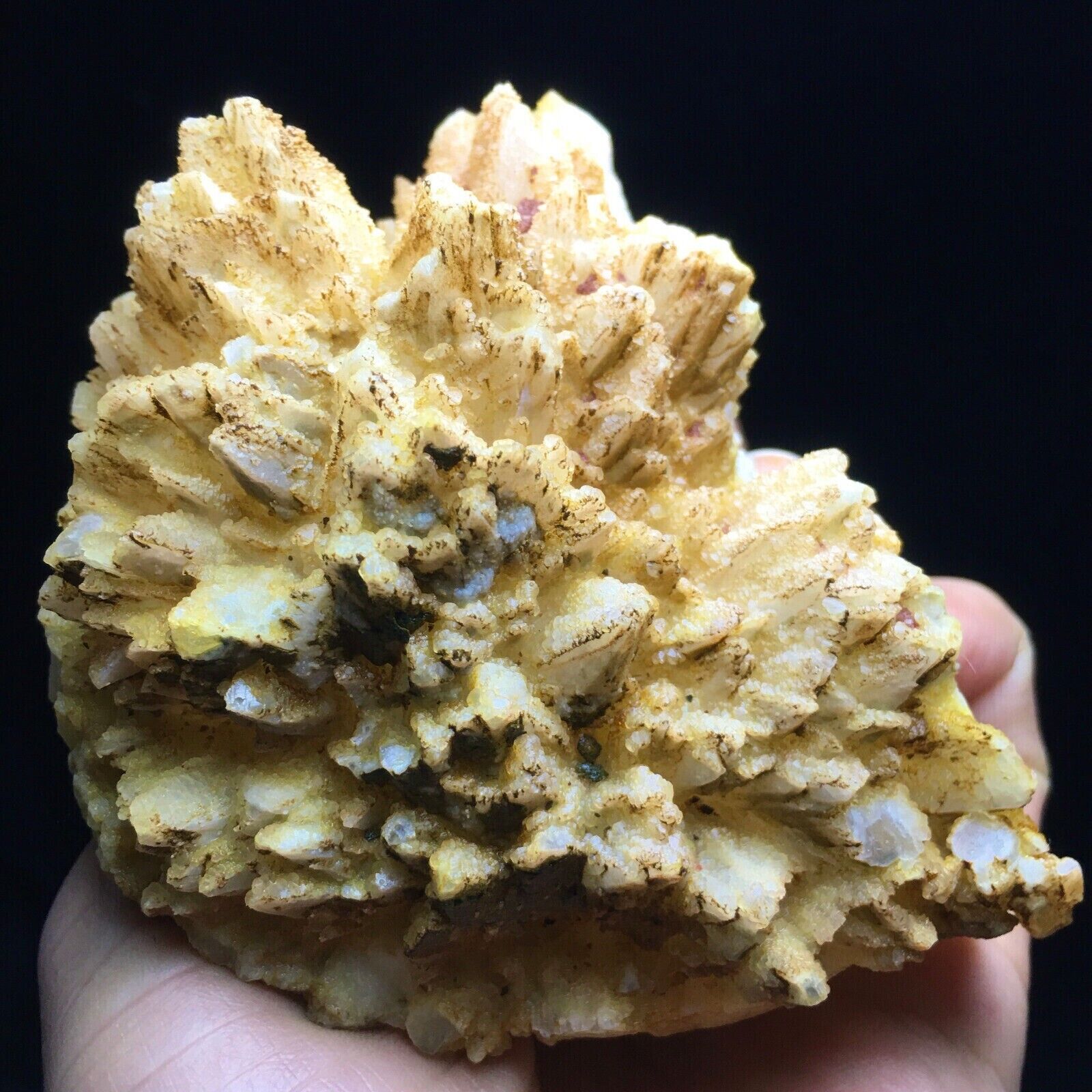 445g Natural Gemstone Smoky Dogtooth Calcite Cluster Mineral Specimen Crystal
