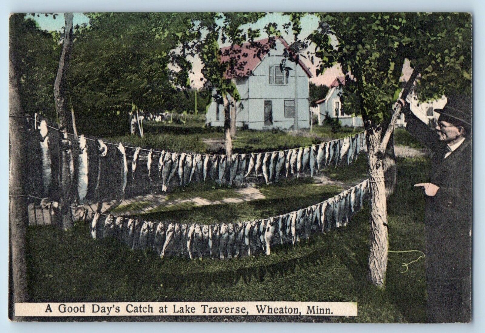 Wheaton Minnesota Postcard Good Day\'s Catch Lake Traverse c1914 Vintage Antique