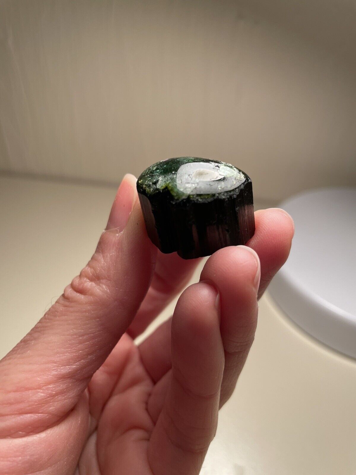 USA Seller ~ 20 Gram Polished “Bubble Top” Green Tourmaline Crystal