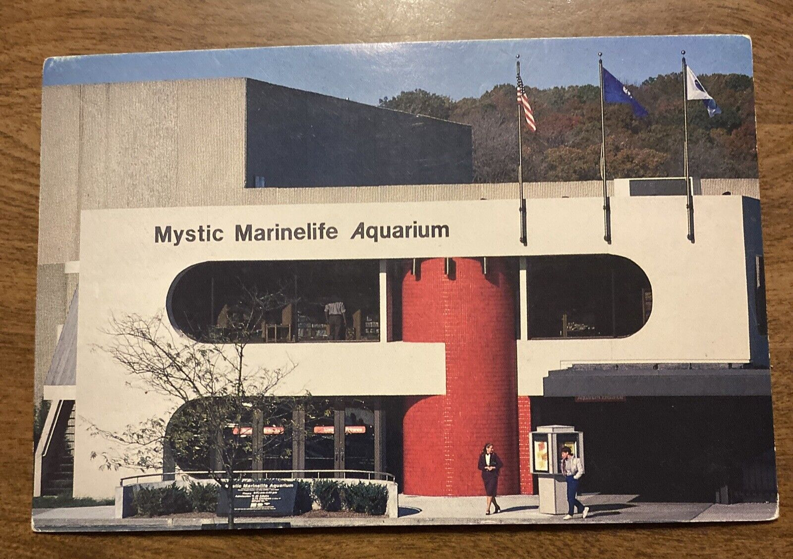 Vintage Mystic Marine life Aquarium Mystic Connecticut CT Postcard P9e17