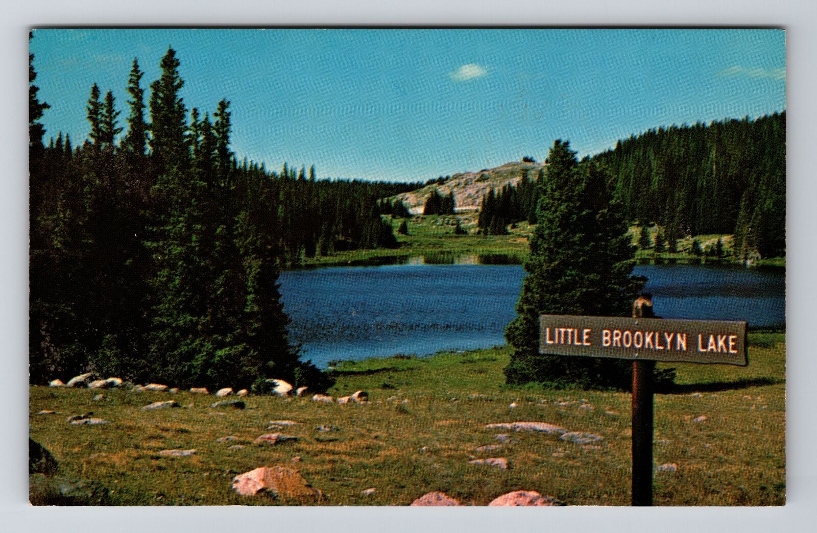 WY-Wyoming, Little Brooklyn Lake, Vintage Postcard
