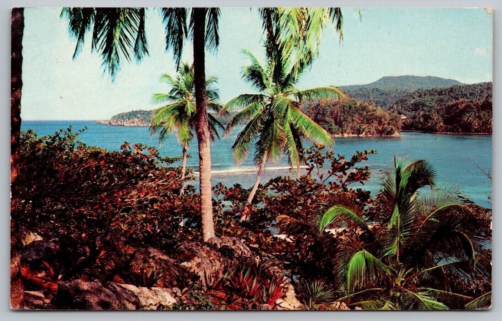 San San Bay Jamaica Oceanfront Tropical Palms Shoreline Coast PM VNG Postcard