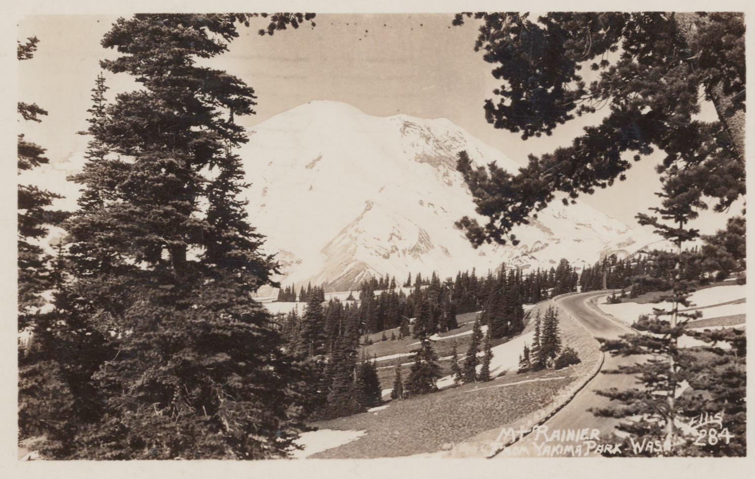 Mount Rainier from Yakima Park Enumclaw Washington WA Postcard 1940s Ellis