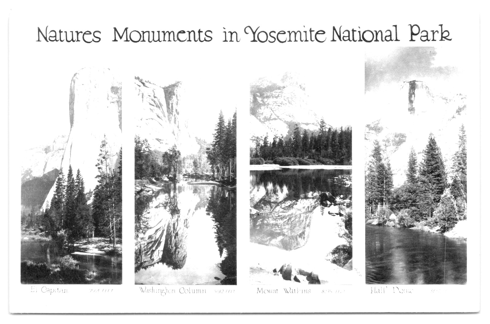 Postcard Natures Monuments in Yosemite National Park Posted 1956 RPPC