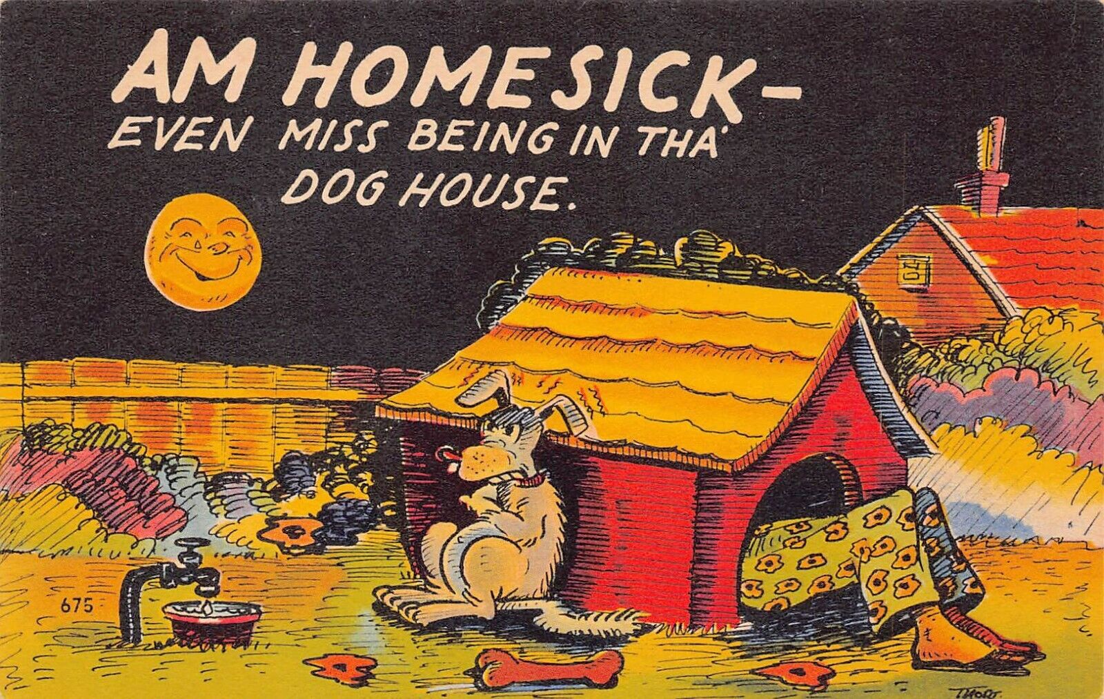 Husband Sleeping Dog House Angry Wife Puppy Moonlight Night Vtg Postcard U8