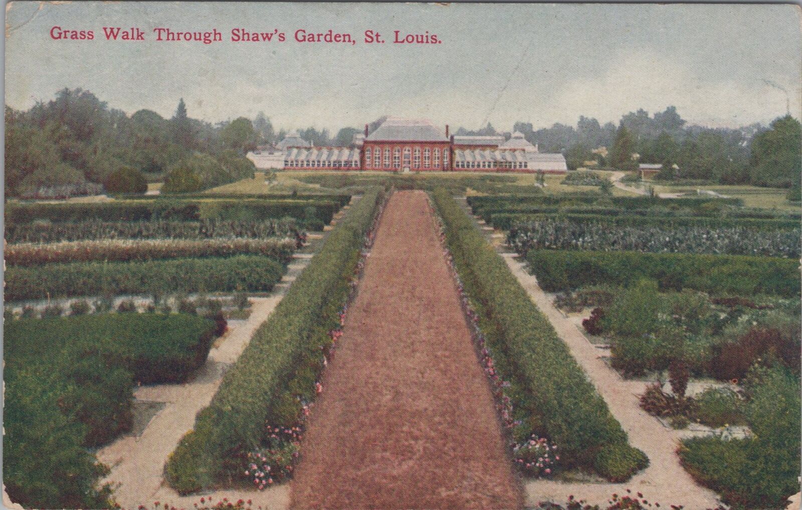 Grass Walk Through Shaw\'s Garden St Louis 1909 Postcard