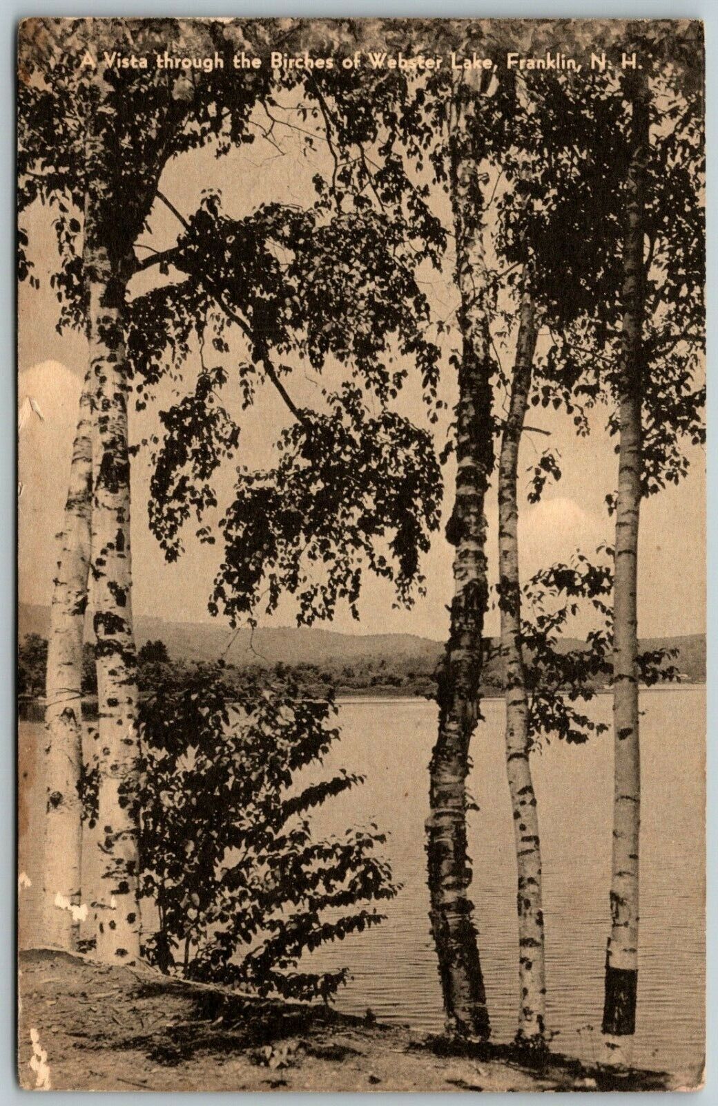 Vista Through the Birches of Webster Lake, Franklin, NH - Postcard