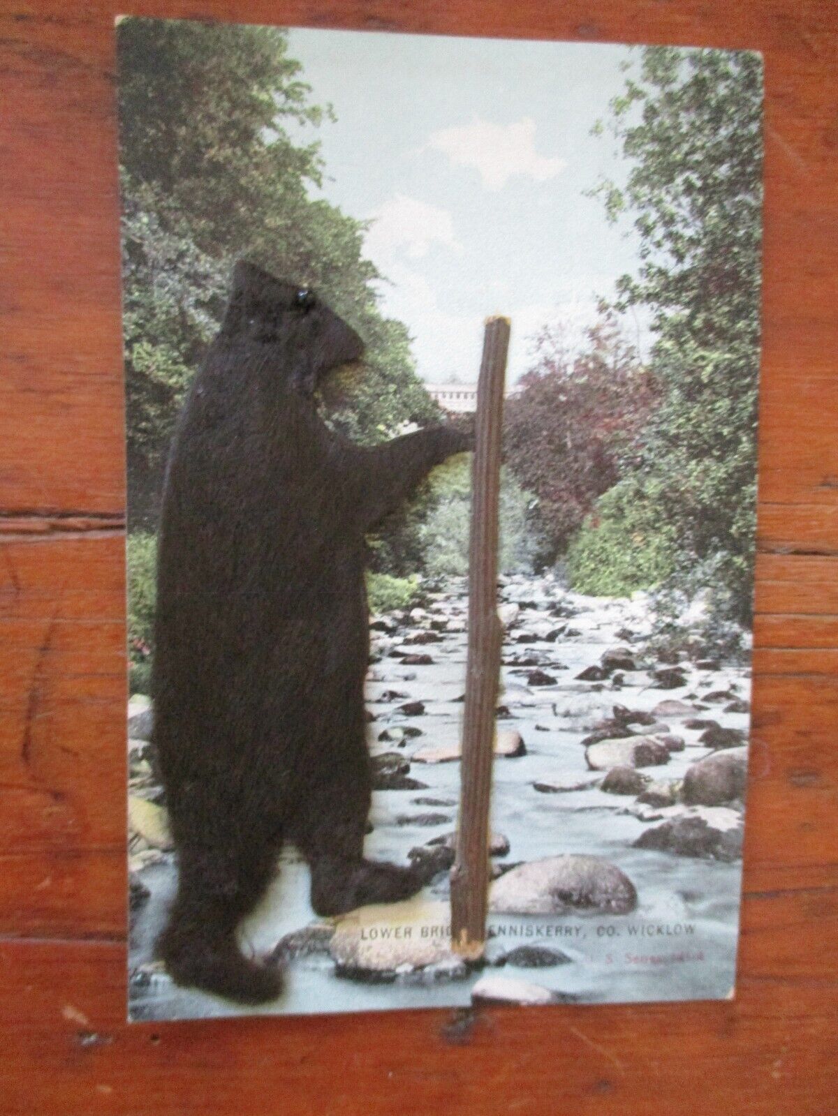 C1906 NOVELTY POSTCARD BEAR  MADE FROM REAL FUR ENNISKERRY CO WICKLOW IRELAND