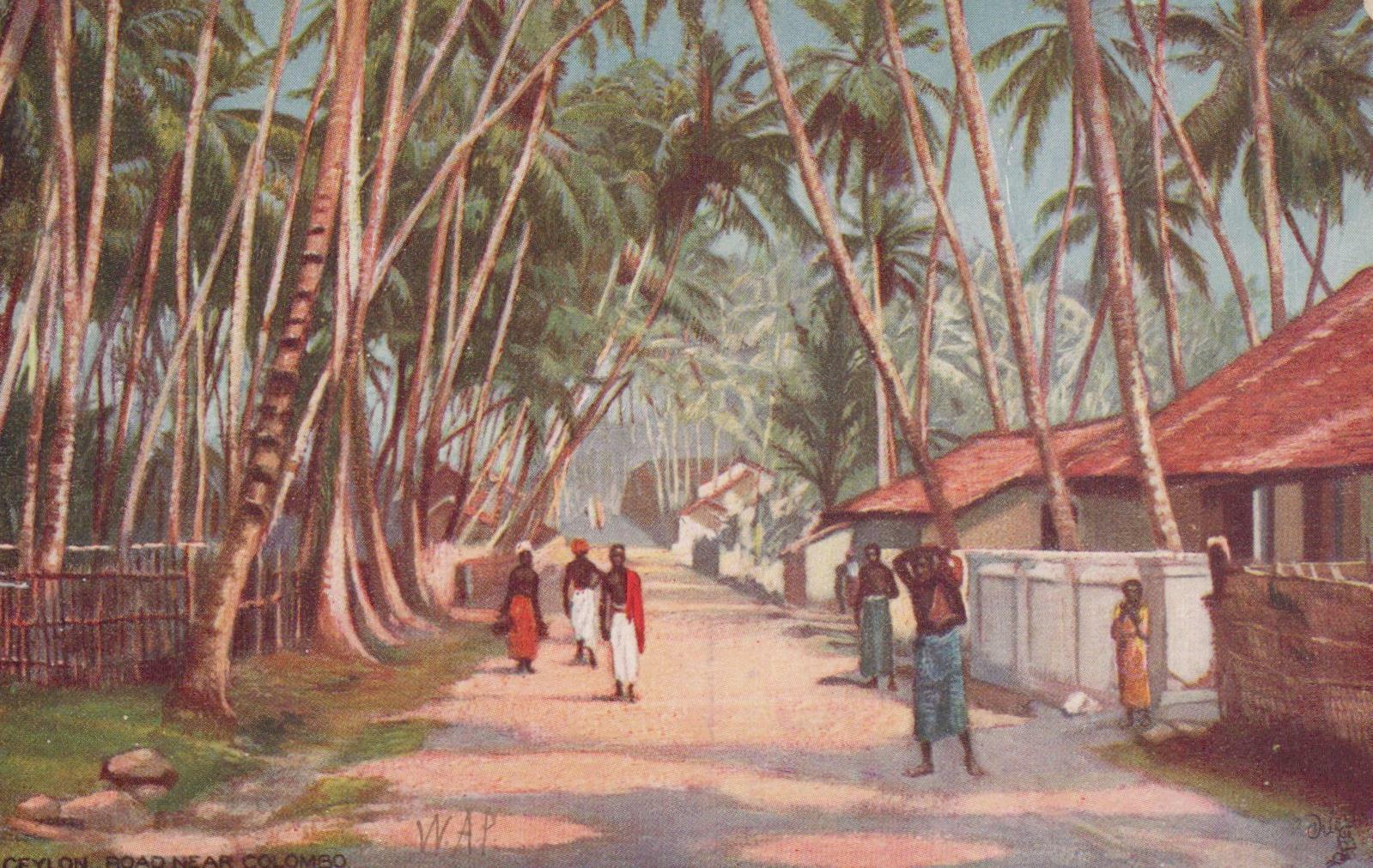 Postcard Road Near Colombo Ceylon Sri Lanka 