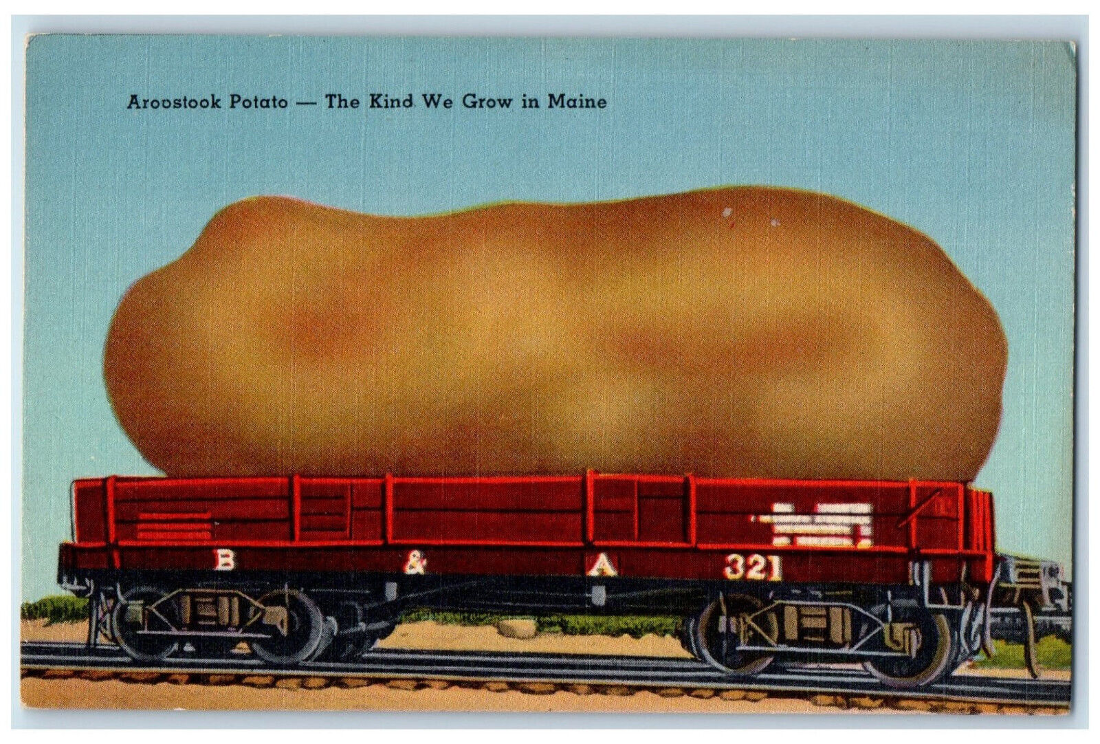 c1940\'s Aroostook Exaggerated Potato Kind We Grow in Maine ME Postcard