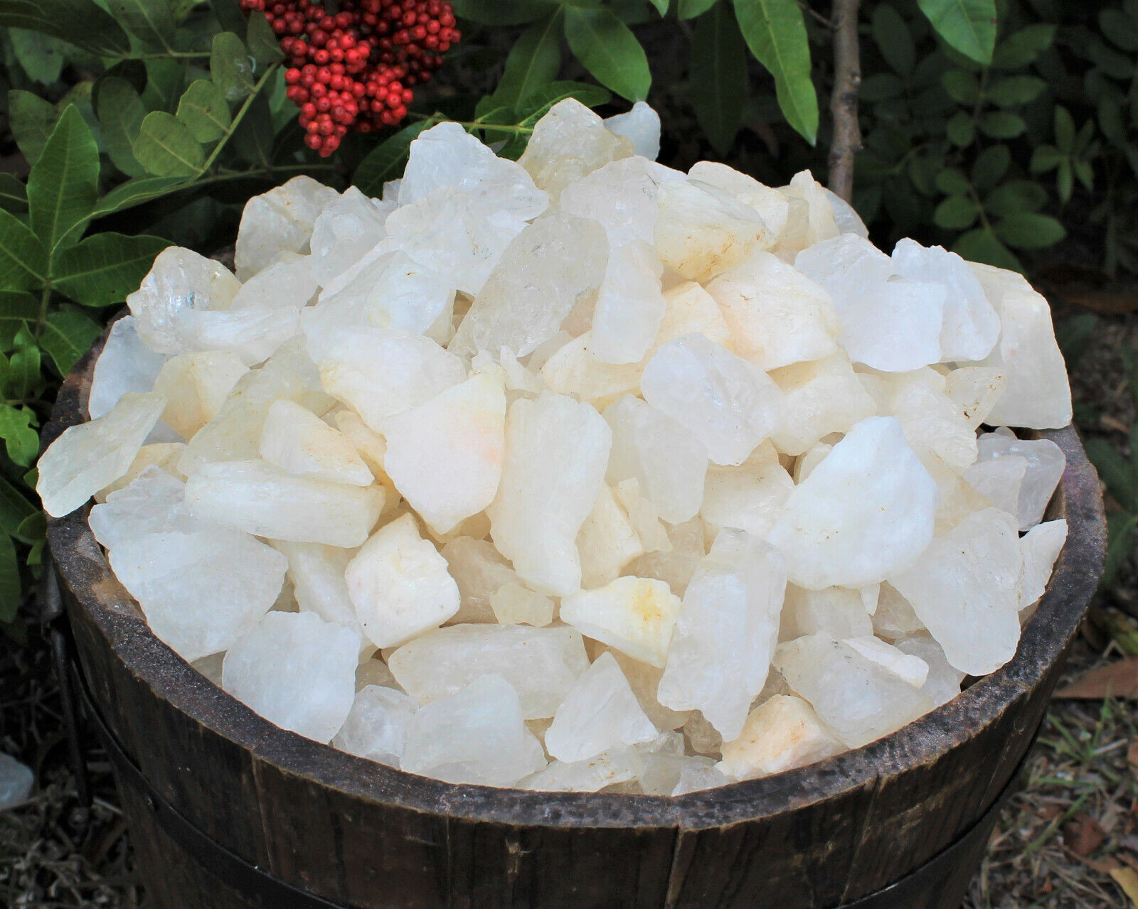 5 lb HUGE Bulk Lot Natural Rough Clear Quartz Crystals (Raw Gemstone Healing)