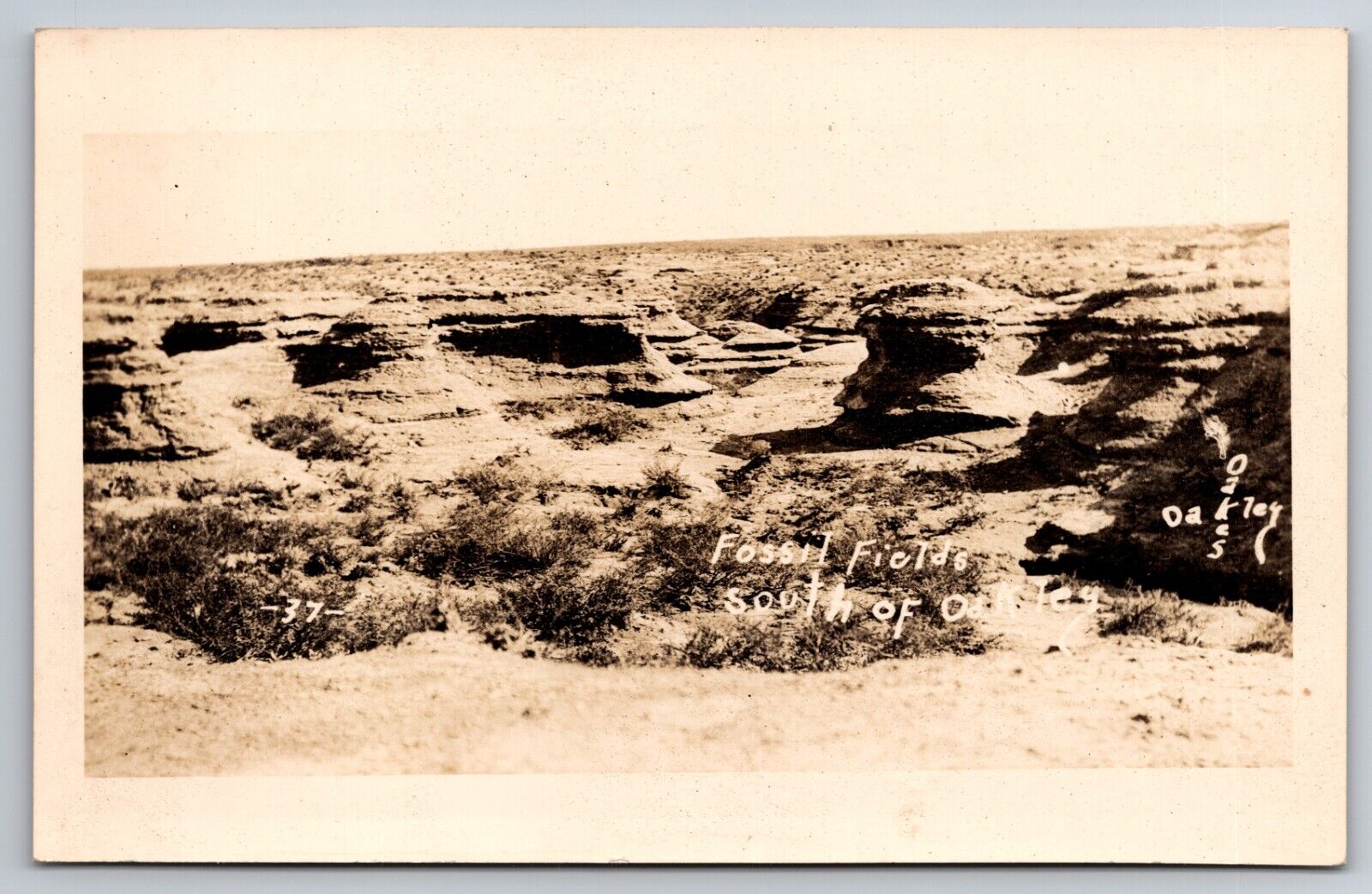 Fossil Fields South of Oakley Kansas KS Oakes c1930 Real Photo RPPC