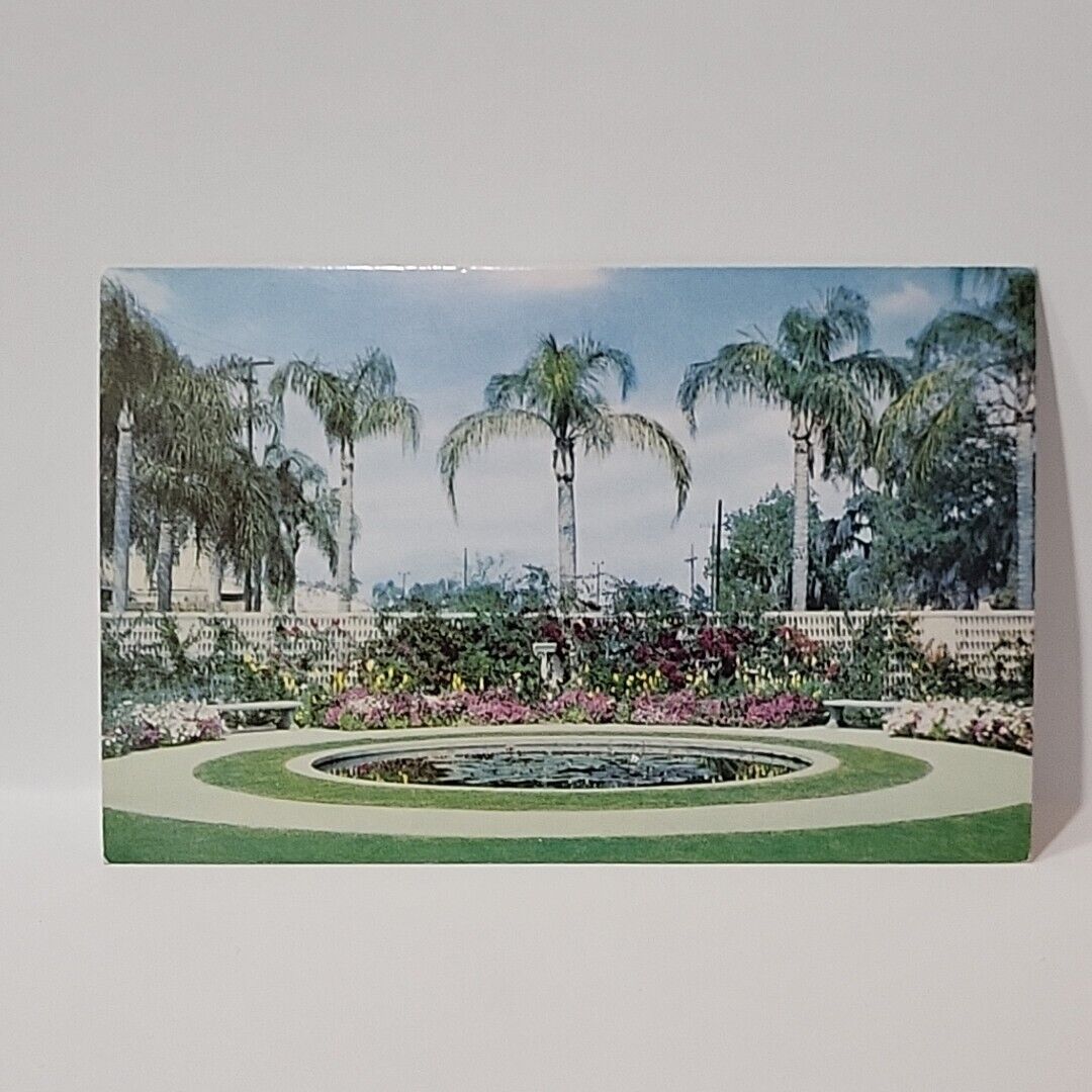 Waverly Florida Lily Pool Vintage Postcard