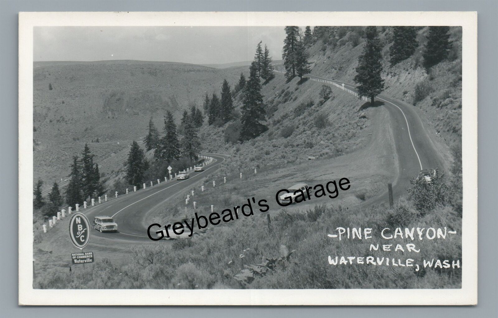 RPPC Pine Canyon Roadside near WATERVILLE WA Washington Real Photo Postcard