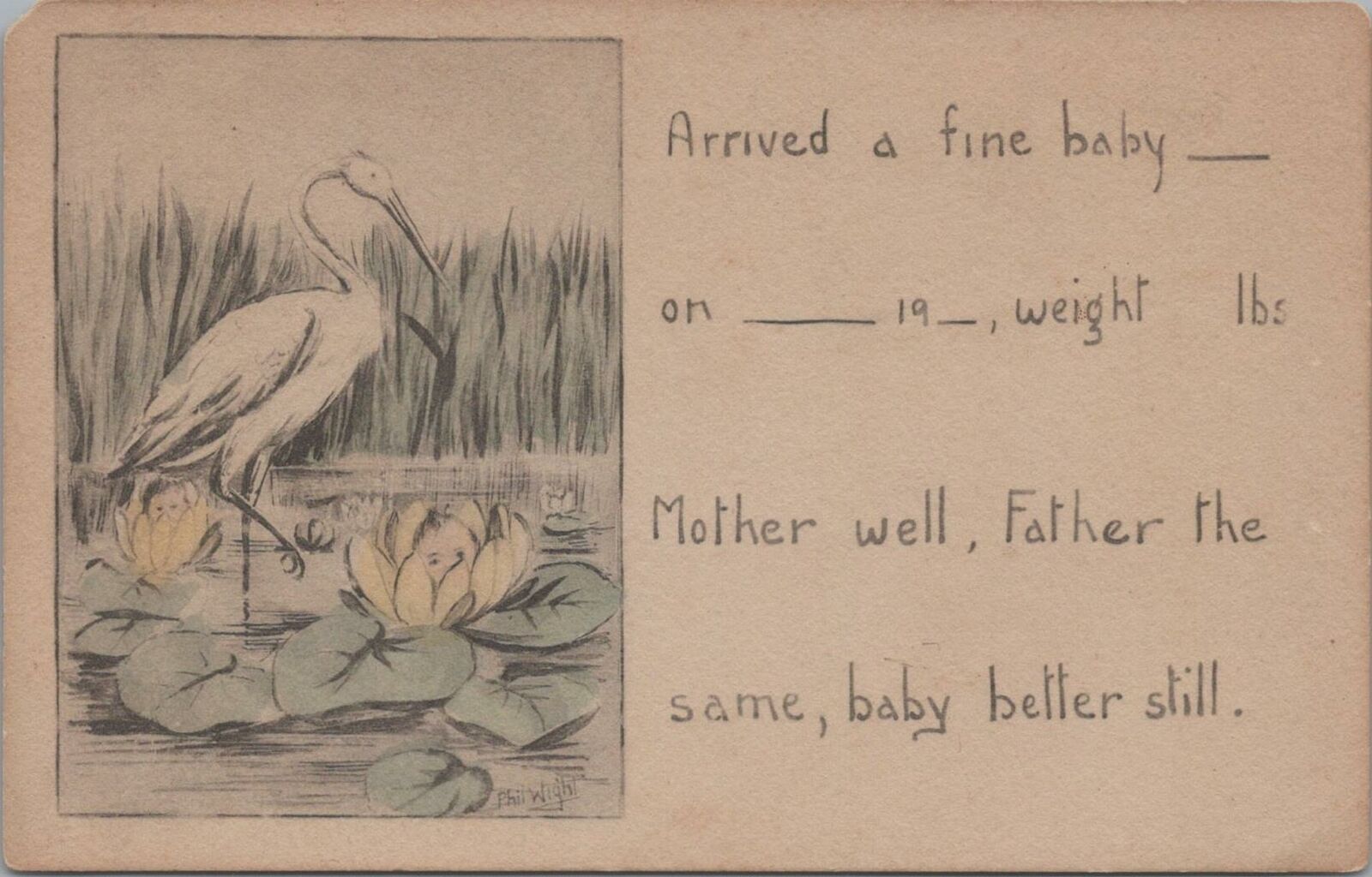 Postcard Baby Announcement Stork Arrived Fine Baby c. 1900s