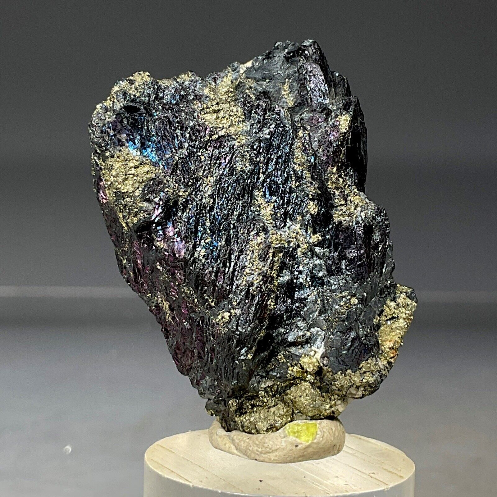 SS Rocks - Covellite with Pyrite (Leonard Mine, Butte Montana) 32g
