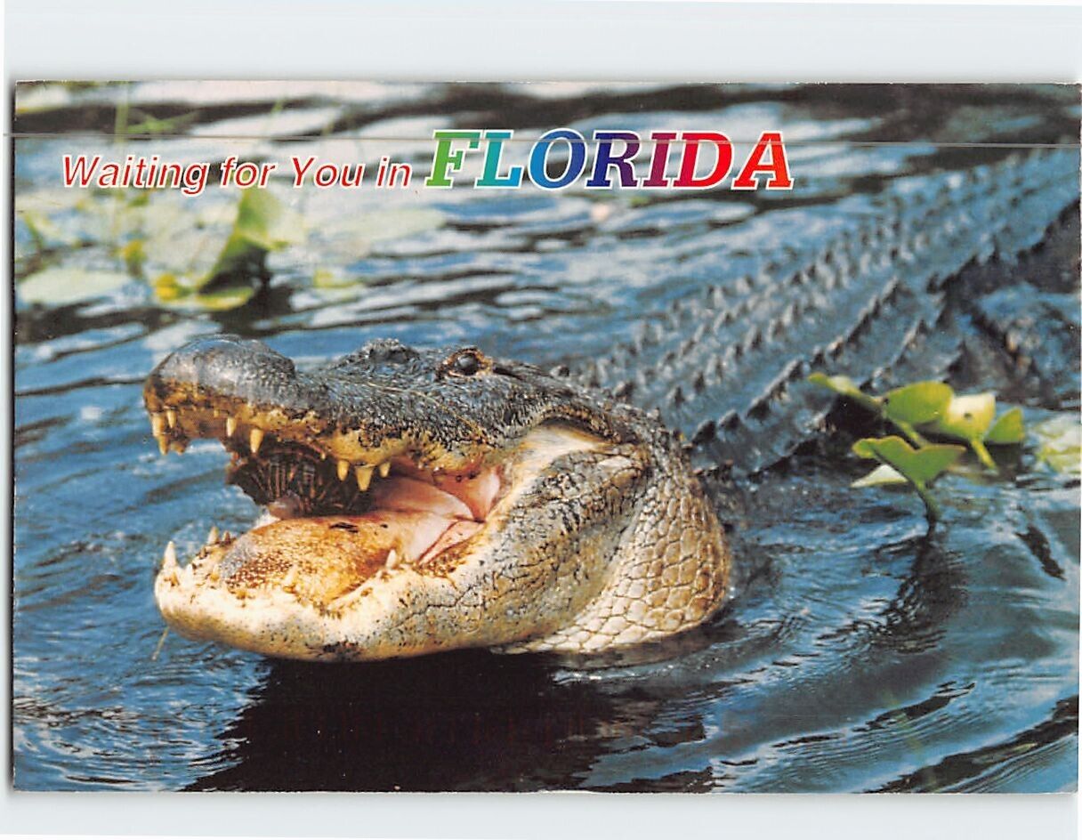 Postcard Waiting for You in Florida USA