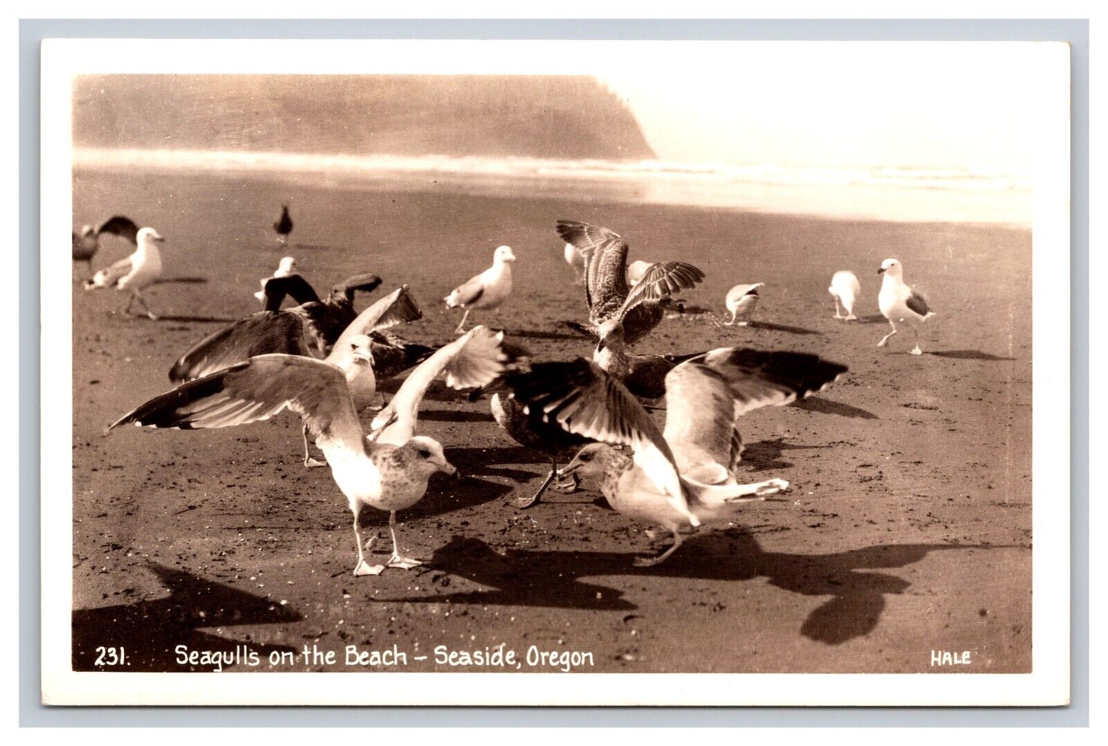 RPPC Seagulls On The Beach, Seaside Oregon OR Postcard