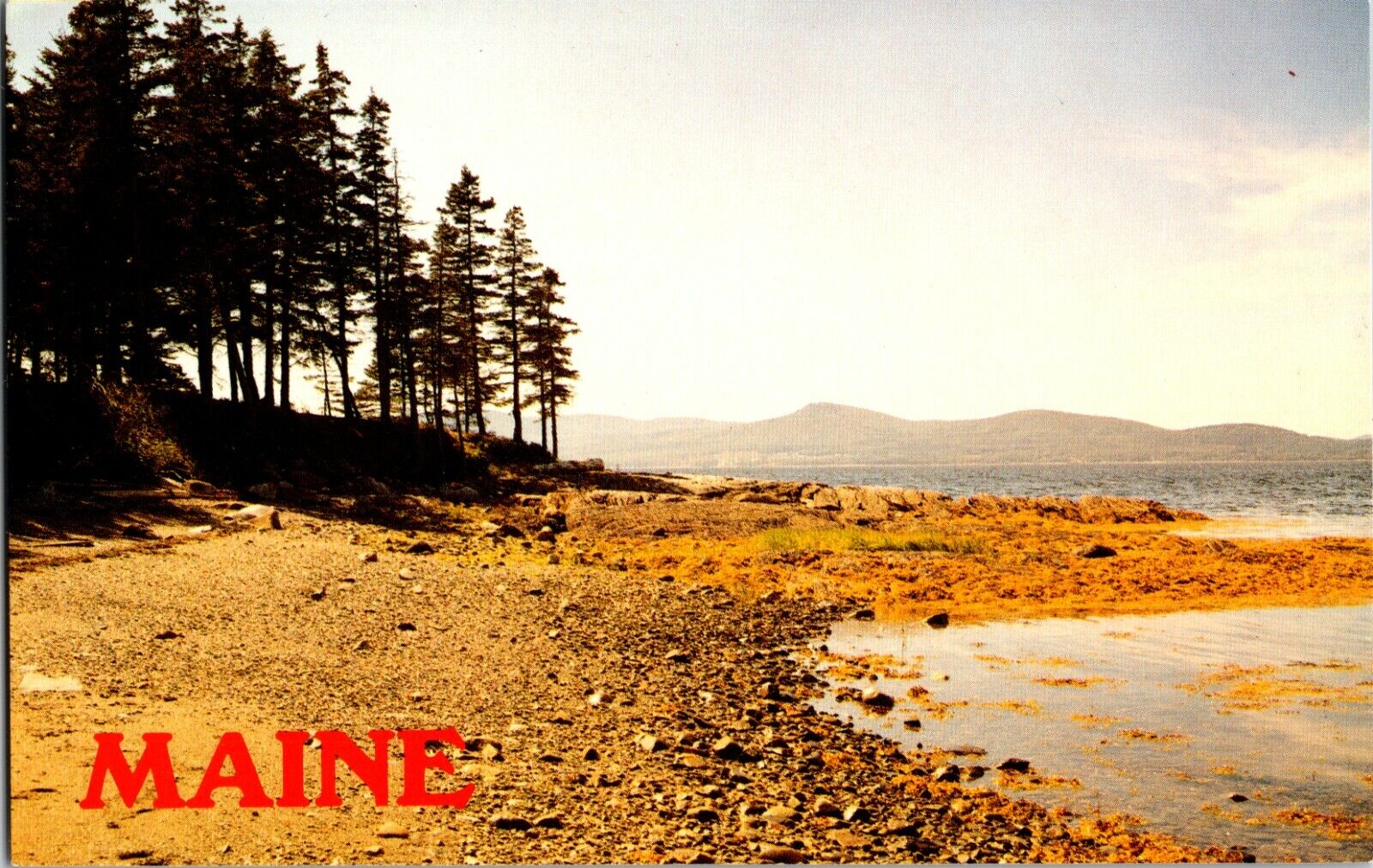 Postcard Rocky Beach Maine