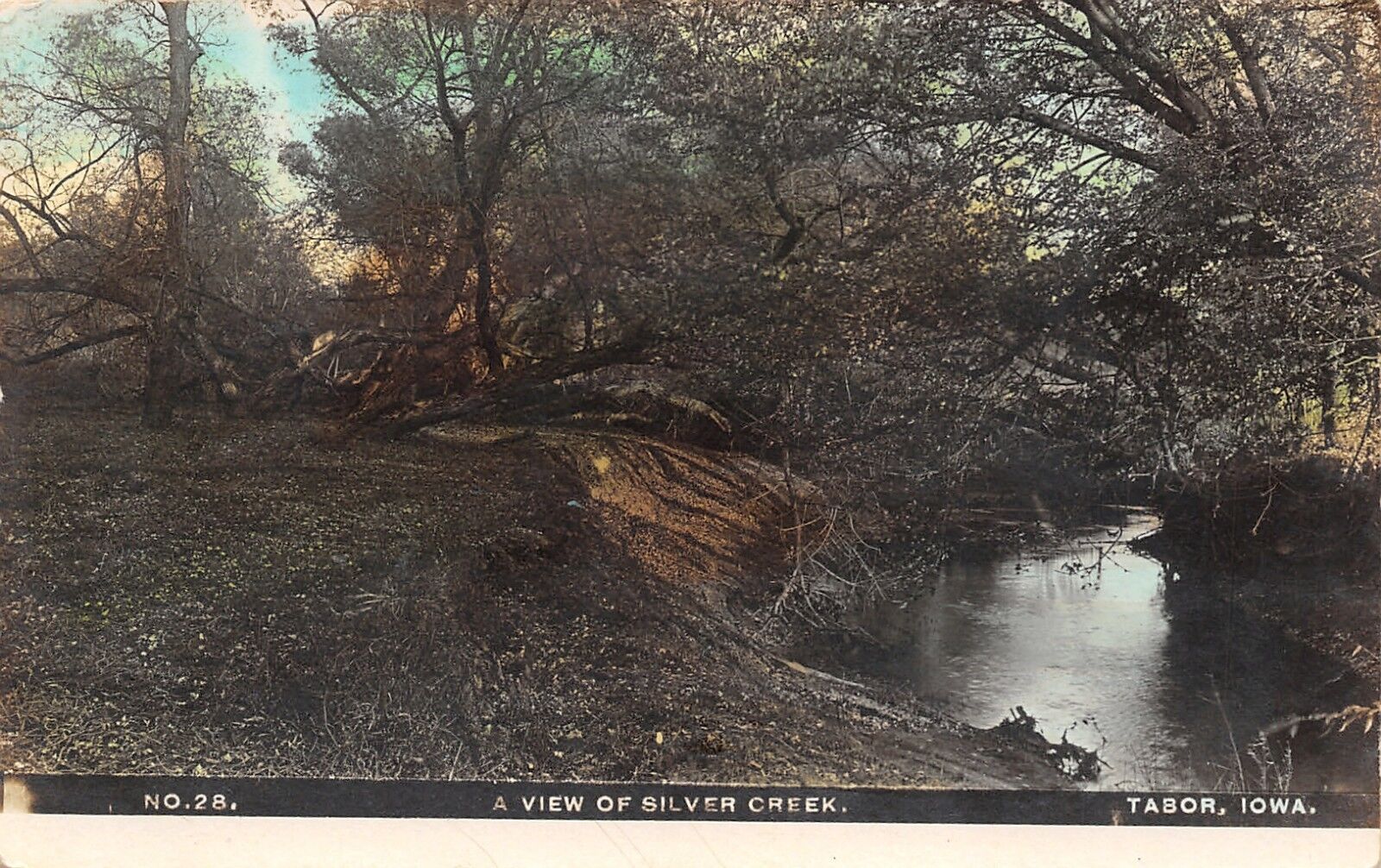 Tabor Iowa~Handcolored RPPC~Along the Banks of the Silver Creek c1910
